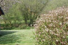 View from the front of Bungalow 58