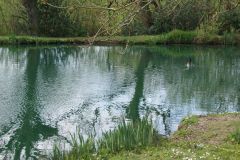 Three tranquil fishing lakes are well stocked with Carp, Tench, Bream and Roach. Use of the fishing facilities is free to our guest, Anybody 12 years and over must hold a valid enviroment agency fishing licence.