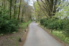 Driveway up to the Manor - Hengar Manor's tree lined main entrance driveway.